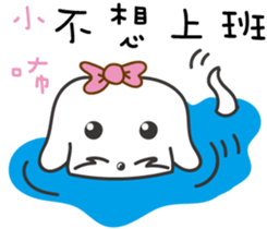 123376304