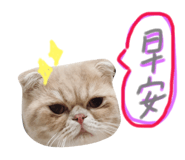 123379545