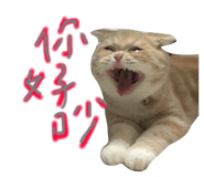 123379548