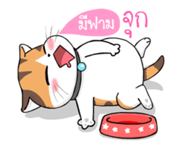 12345119