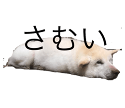 123676857