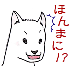 1237175