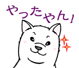 1237177