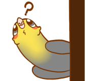 124234334
