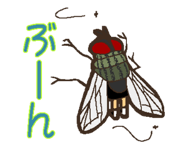 1242505