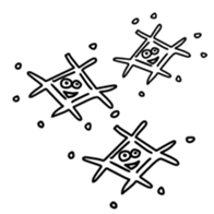 12429916