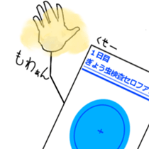 12434551