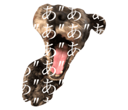 124390198