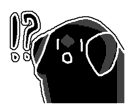 12447585