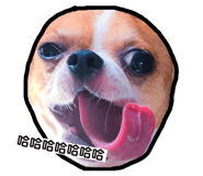 124673035