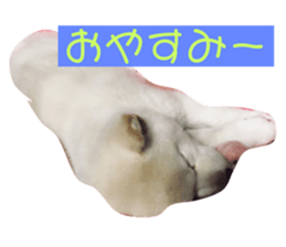 124810264