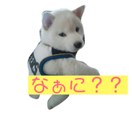 124810265