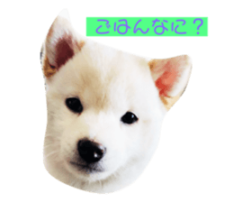 124810268