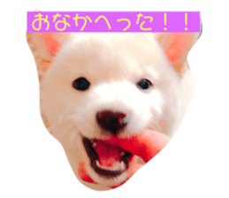 124810269