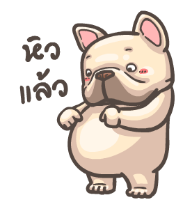 พิกุ - เฟรนช์ บูลด็อก 6 รูปที่ 2