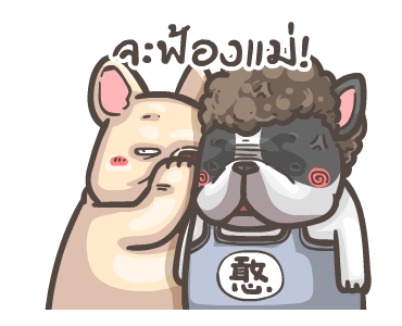 พิกุ - เฟรนช์ บูลด็อก 6 รูปที่ 14