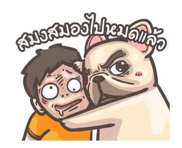 พิกุ - เฟรนช์ บูลด็อก 6 รูปที่ 19