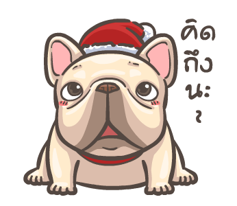 พิกุ - เฟรนช์ บูลด็อก 6 รูปที่ 22