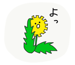 125086126
