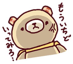 12509042