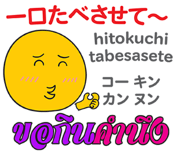 12509204