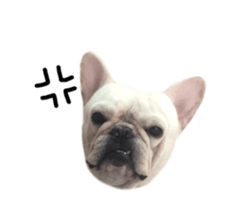 125125903