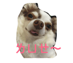 125332127