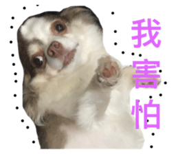 125332131