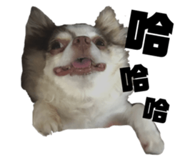 125332158