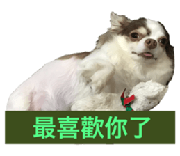 125332163