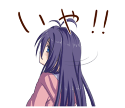 12535646
