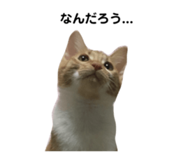 125588375