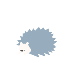 1255885