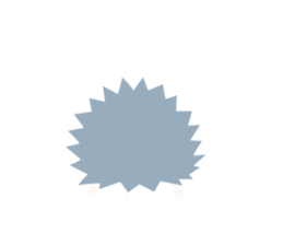 1255908