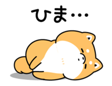 12562044