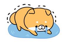 12562050
