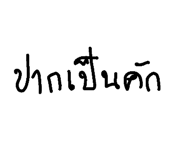 125646615