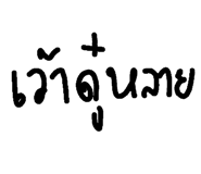 125646619