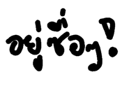 125646621