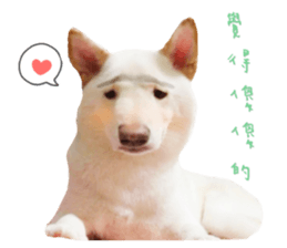 125680713
