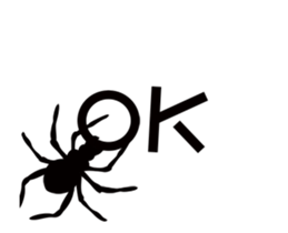 12591806