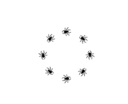 12591807