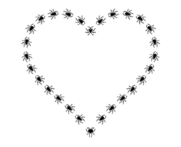 12591810
