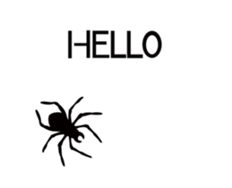 12591811