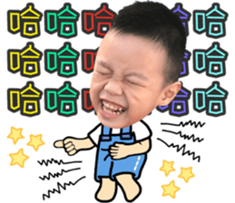 126066114