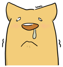 126107542
