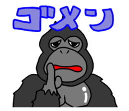 1261248