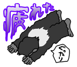 1261250