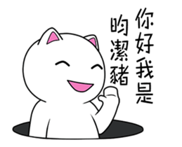 126202592