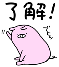 12620494